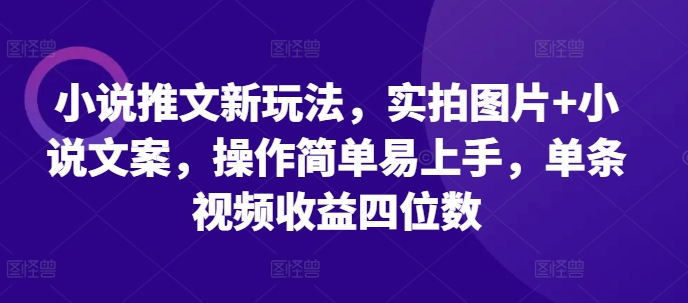 小说推文新玩法，实拍图片+小说文案，操作简单易上手，单条视频收益四位数-Queer